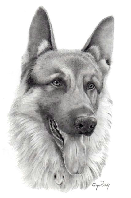 Drawing Ideas Dogs Realistic Pencil Drawings Of Animals 115 Art Pencil Drawings