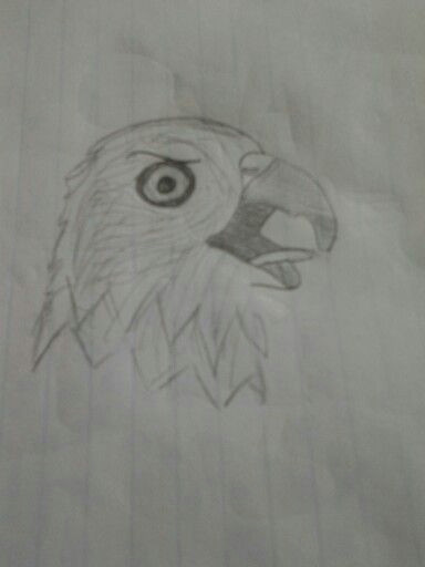 Drawing Ideas for 10 Year Olds 10 Year Old Girl Drawing Of A Bald Eagle Sketches Pinterest 10