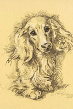 Drawing Ideas for Dogs 68 Animal Charcoal Ideas Art Pinterest Drawings Animal