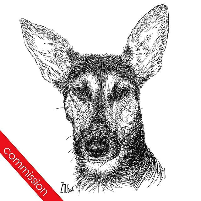 Drawing Ideas for Dogs Digital Dog Sketch by Zileart Dog Sketches Pinterest