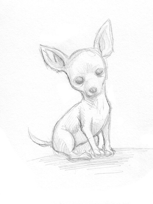 Drawing Ideas for Dogs Easy Drawings Of Chihuahuas Google Search Dogsketch Dog Sketch