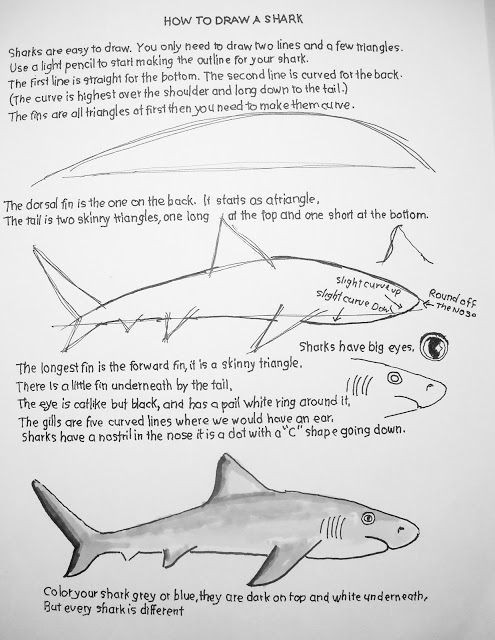 Drawing Ideas for Young Artists How to Draw Worksheets for the Young Artist Drawing
