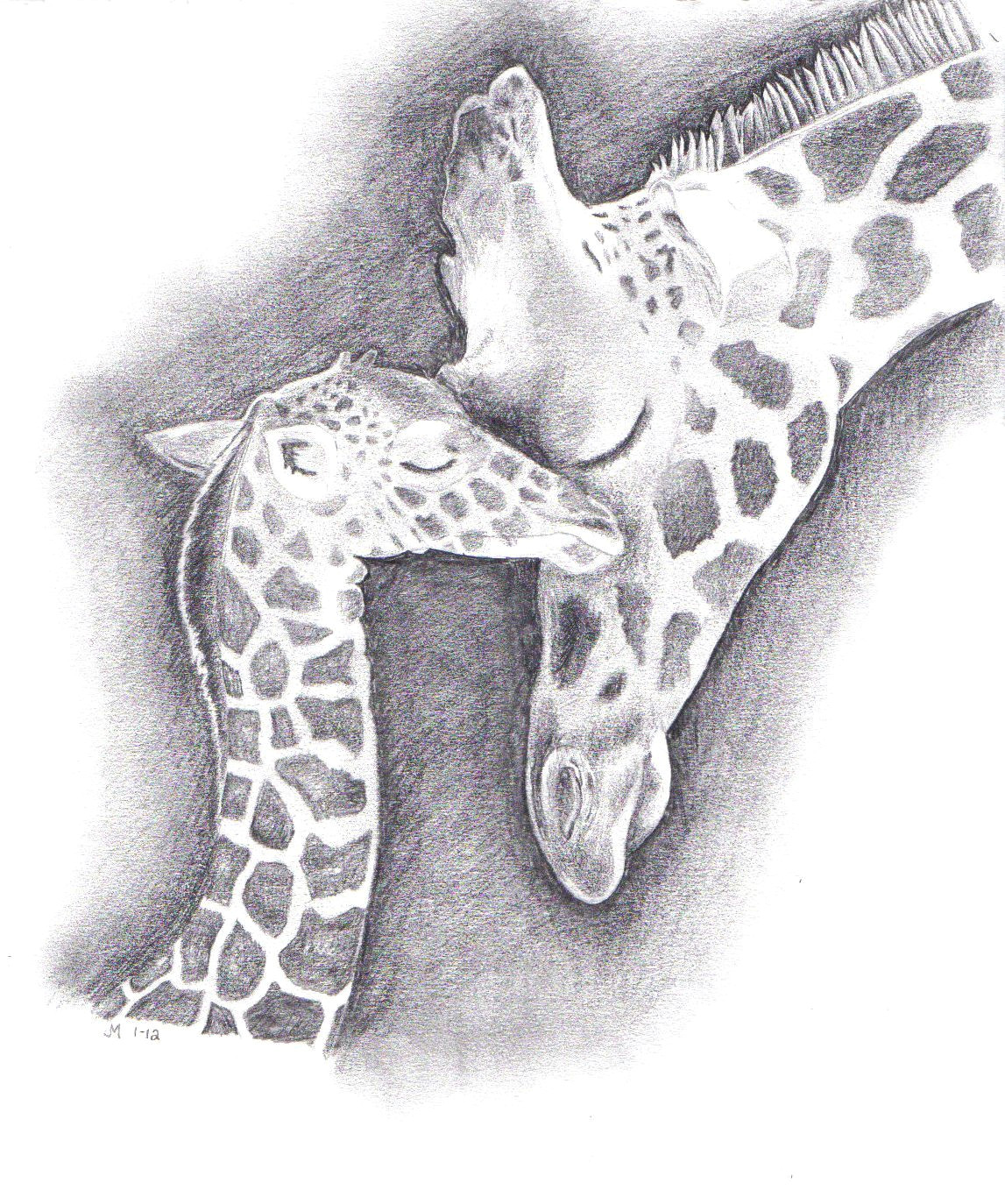 Drawing Ideas Giraffe Giraffe Drawing Jennny 3 Perez 3 Pinterest Giraffe Drawing