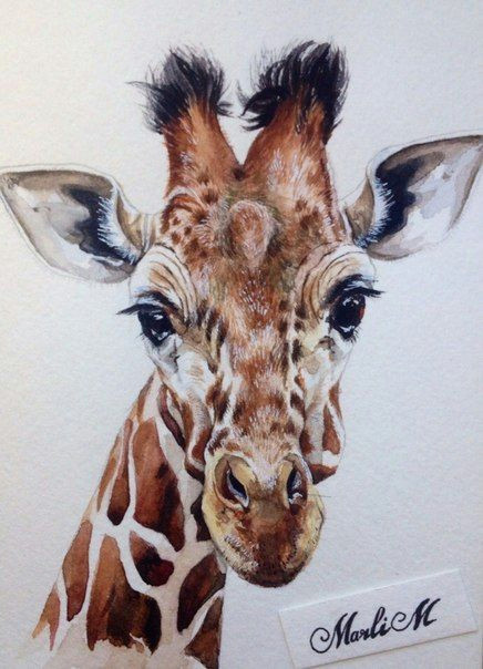 Drawing Ideas Giraffe Illustrator Marlim Watercolor Giraffe Watercolor Paintings