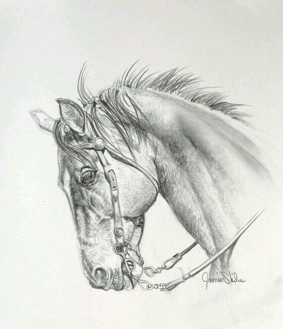 Drawing Ideas Horses Horse Art Horse Drawings In 2018 Pinterest Horse Drawings