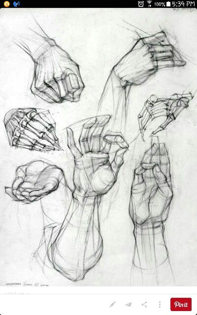 Drawing Ideas Human Body Hand Sketches Hand Reference Drawings Figure Drawing Anatomy