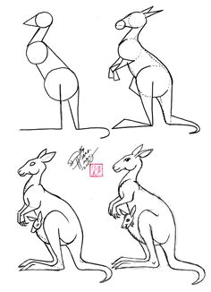 Drawing Ideas Kangaroo 36 Best Kangaroos Images Drawings Kangaroo Drawing Character Design