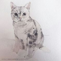 Drawing Ideas Kitten 158 Best Drawing Ideas A A A Images Ideas for Drawing