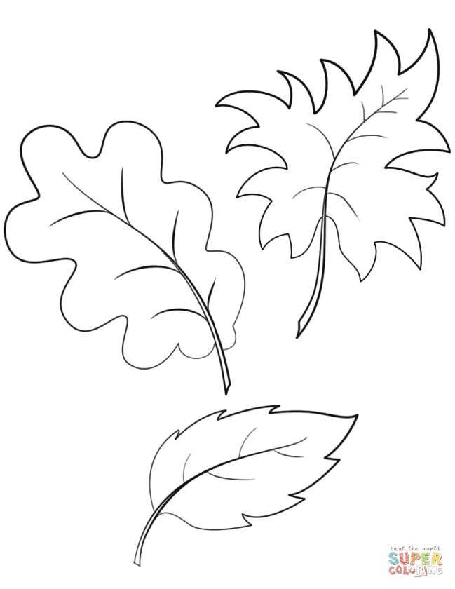 Drawing Ideas Leaves Fall Leaves Coloring Pages Luxury Leaves Unique Printable Free Kids