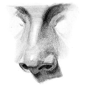 Drawing Ideas Nose Pin by Yaa Mur Ka Ra Mtay On Draw Drawings Nose Drawing Sketches