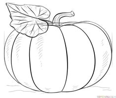 Drawing Ideas On Pumpkins 213 Best How to Draw Halloween Scary Drawing Ideas for Kids Images