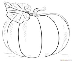 Drawing Ideas On Pumpkins 57 Best Fall Drawings Images Paintings Foxes Sketches