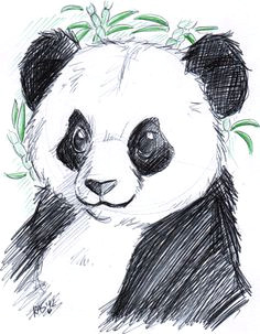 Drawing Ideas Panda 33 Best Panda Drawing Images Panda Drawing Panda Bears Cute Panda