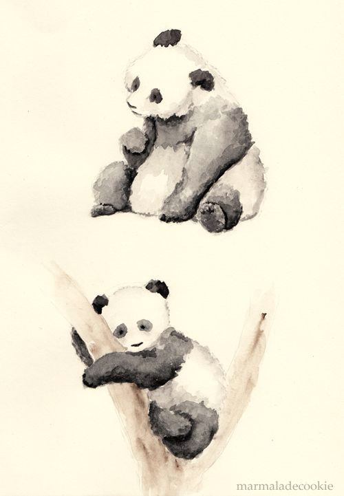 Drawing Ideas Panda Pandas by Marmaladecookie On Deviantart Watercolour Ideas Panda
