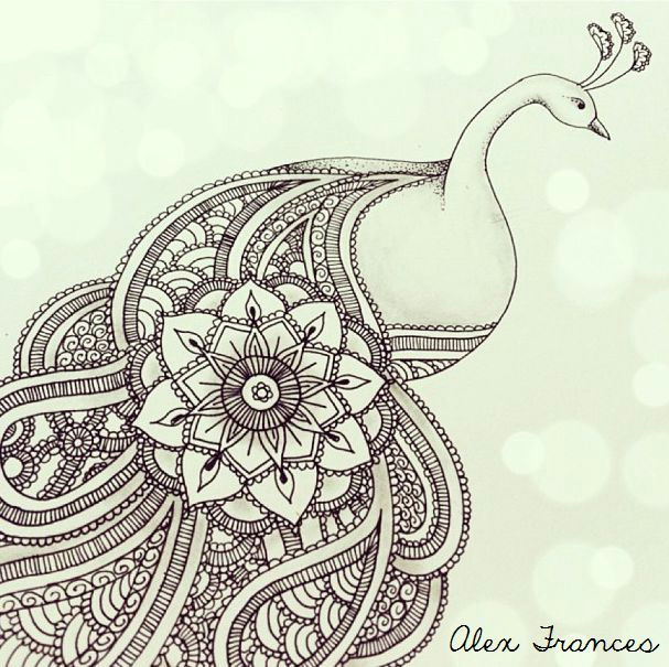 Drawing Ideas Peacock Paisley Peacock Illustration by Alexandra Frances Instagram