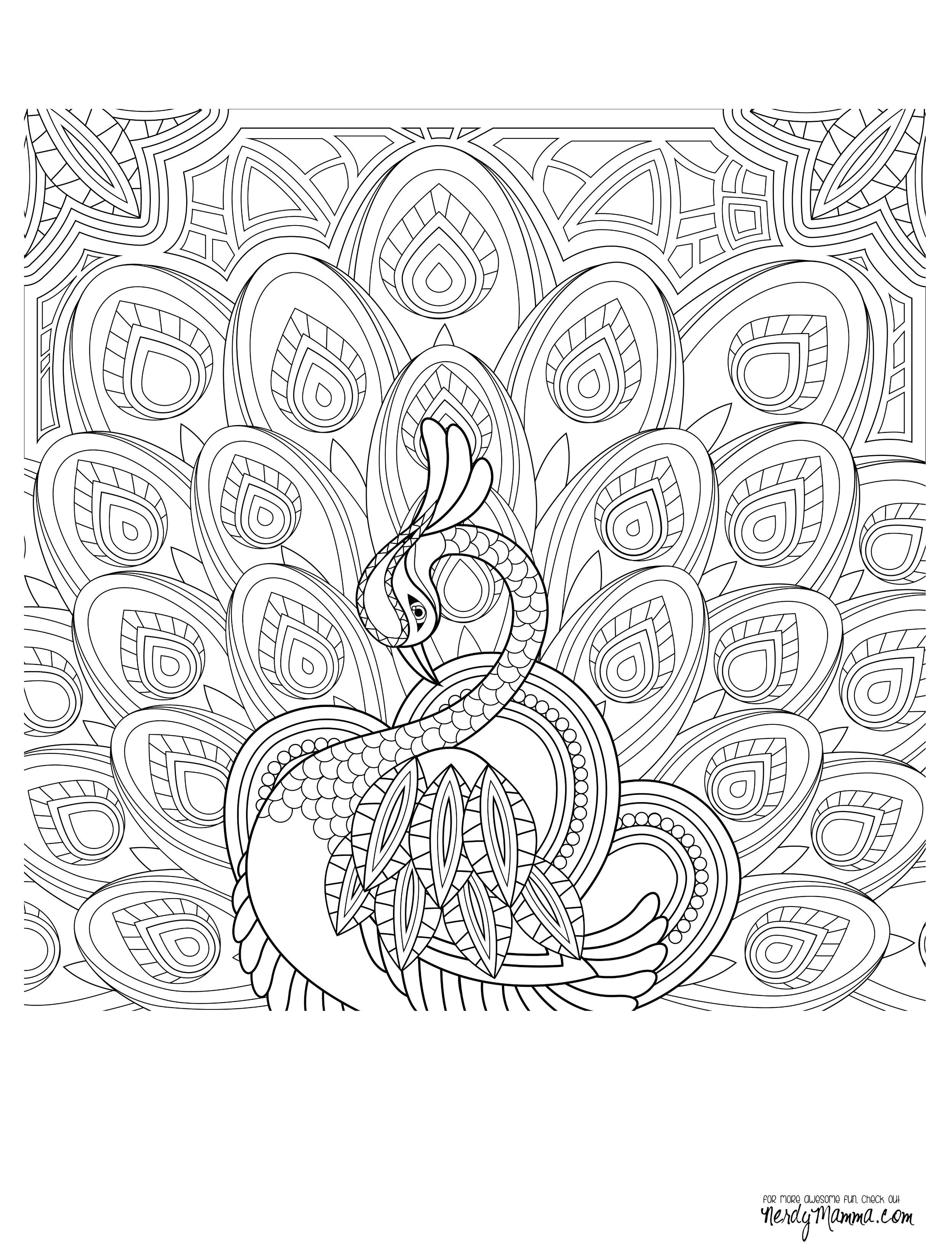 Drawing Ideas Peacock Peacock Feather Coloring Pages Colouring Adult Detailed Advanced