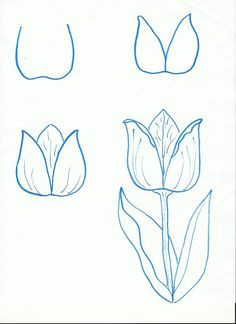 Drawing Ideas Roses 361 Best Drawing Flowers Images Drawings Drawing Techniques