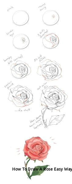 Drawing Ideas Roses How to Draw A Rose Easy Way Prslide Com