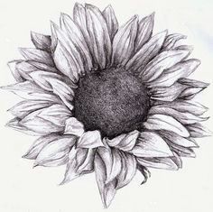 Drawing Ideas Sunflower 160 Best Sunflower Tattoos Images In 2019 Sunflower Drawing