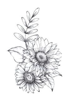 Drawing Ideas Sunflower 84 Best Sunflower Drawing Images In 2019 How to Paint Sunflowers