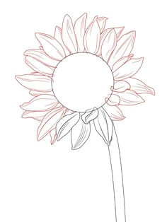 Drawing Ideas Sunflower 97 Best Drawing Sunflowers Images Sunflower Drawing Sunflowers