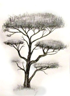 Drawing Ideas Trees 156 Best Drawing Trees Images In 2019 Drawing Trees Tree Drawings