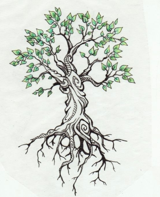 Drawing Ideas Trees Mas De 17 Ideas Fantasticas sobre Frida Tattoos Tree Tattoo