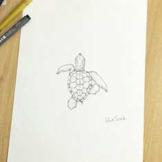 Drawing Ideas Turtle 235 Best Drawings Images In 2019 Drawing Ideas Pencil Drawings