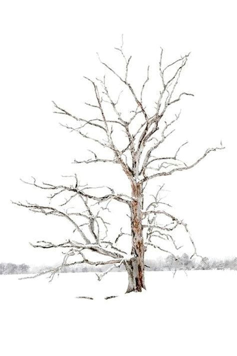 Drawing Ideas Winter Image Result for Winter Watercolor Tree Drawing Ideas Watercolor