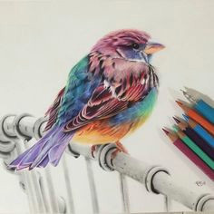 Drawing Ideas with Colored Pencils 157 Best Colored Pencil Blending Images In 2019 Colouring Pencils