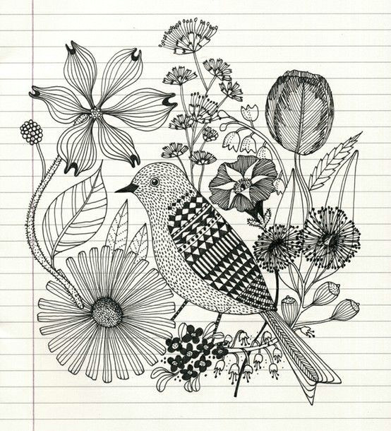 Drawing Images Of Flower Designs Pencil Sketch Of Bird and Flowers Food Drink that I Love