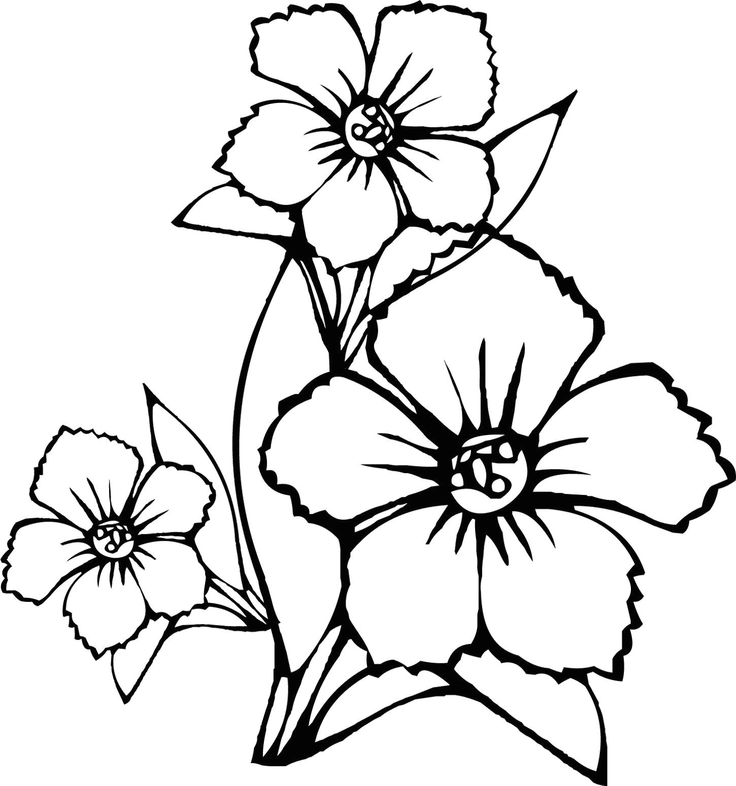 Drawing Images Of Flower Vase How to Draw Flowers Step by Step for Beginners Luxury New Vases