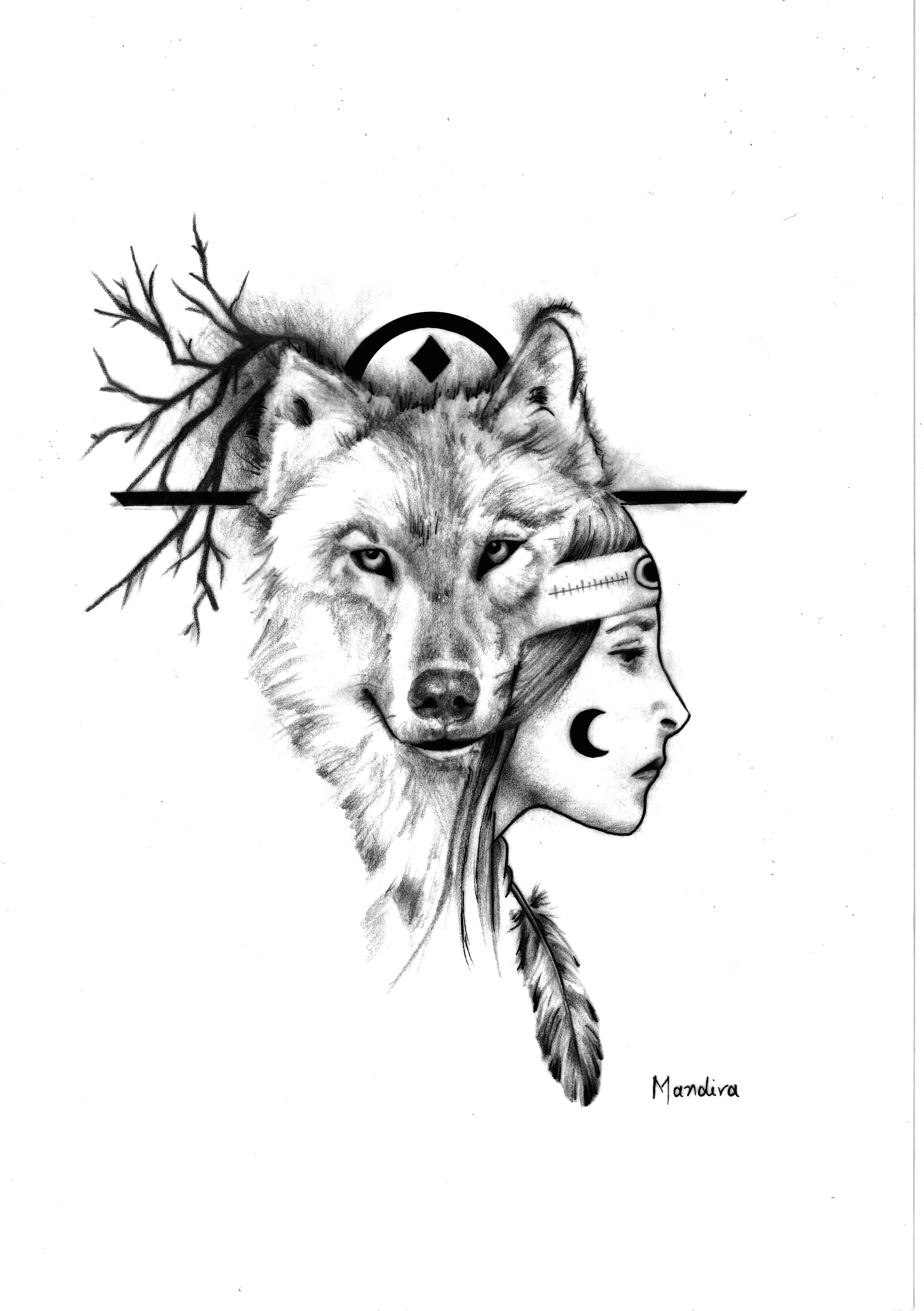 Drawing Indian Wolf 611 Best Creative Sketches Images
