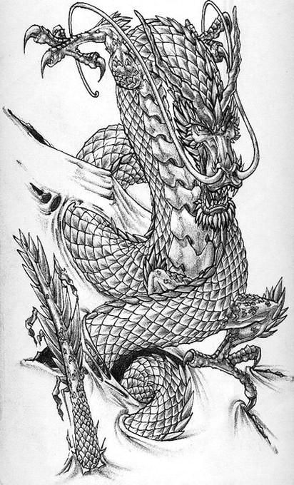 Drawing Japanese Dragons Dragon Tattoos Google Search Tatoos Pinterest Drachen