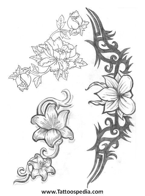 Drawing Jasmine Flowers Jasmine Flower Drawing Flower Tattoos Jasmine 2 Tattoo Designs