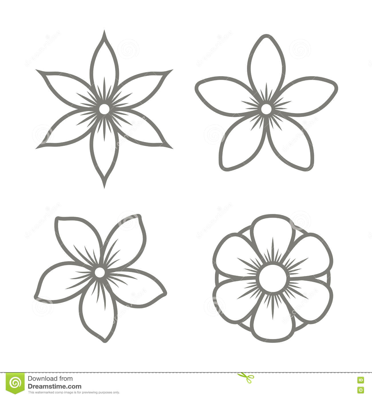 Drawing Jasmine Flowers Jasmine Flower Icons Set On White Background Vector Stock Vector