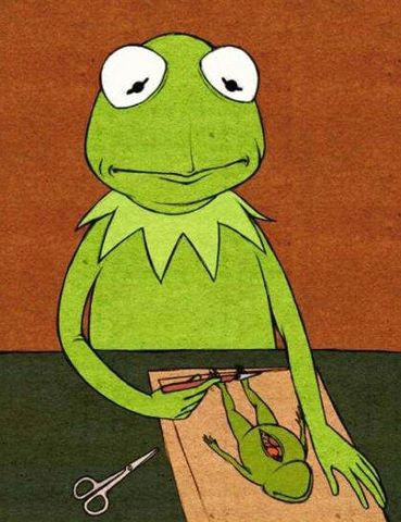 Drawing Kermit the Frog Pin Von Wonderevel Auf that F R O G S Ilustraciones Gracioso Und