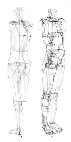 Drawing Knees 490 Best Anatomy Images In 2019 Anatomy Reference Anatomy Study