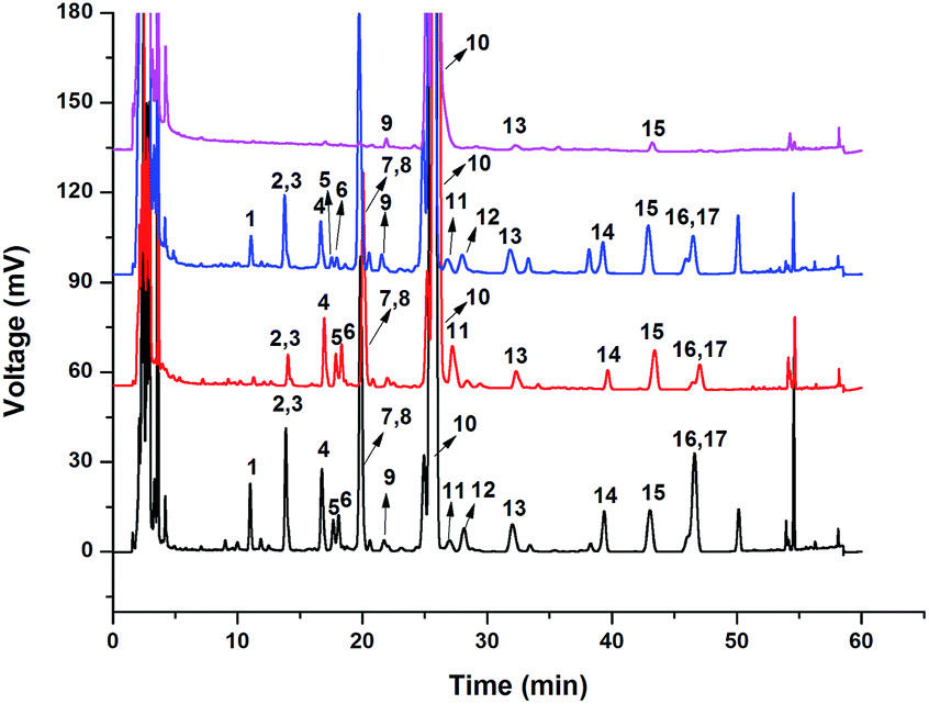 Drawing L and D Amino Acids Separation and Detection Of Free D and L Amino Acids In Tea by Off