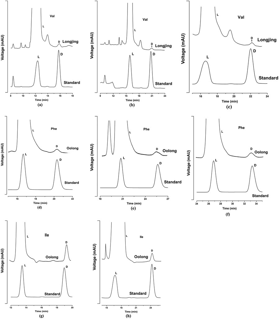 Drawing L and D Amino Acids Separation and Detection Of Free D and L Amino Acids In Tea by Off