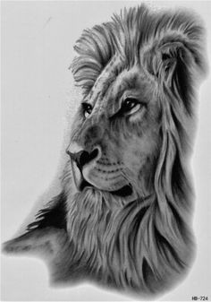 Drawing Lion Eyes Realistic Drawings Of Animals 42 Incredibly Realistic and Adorable