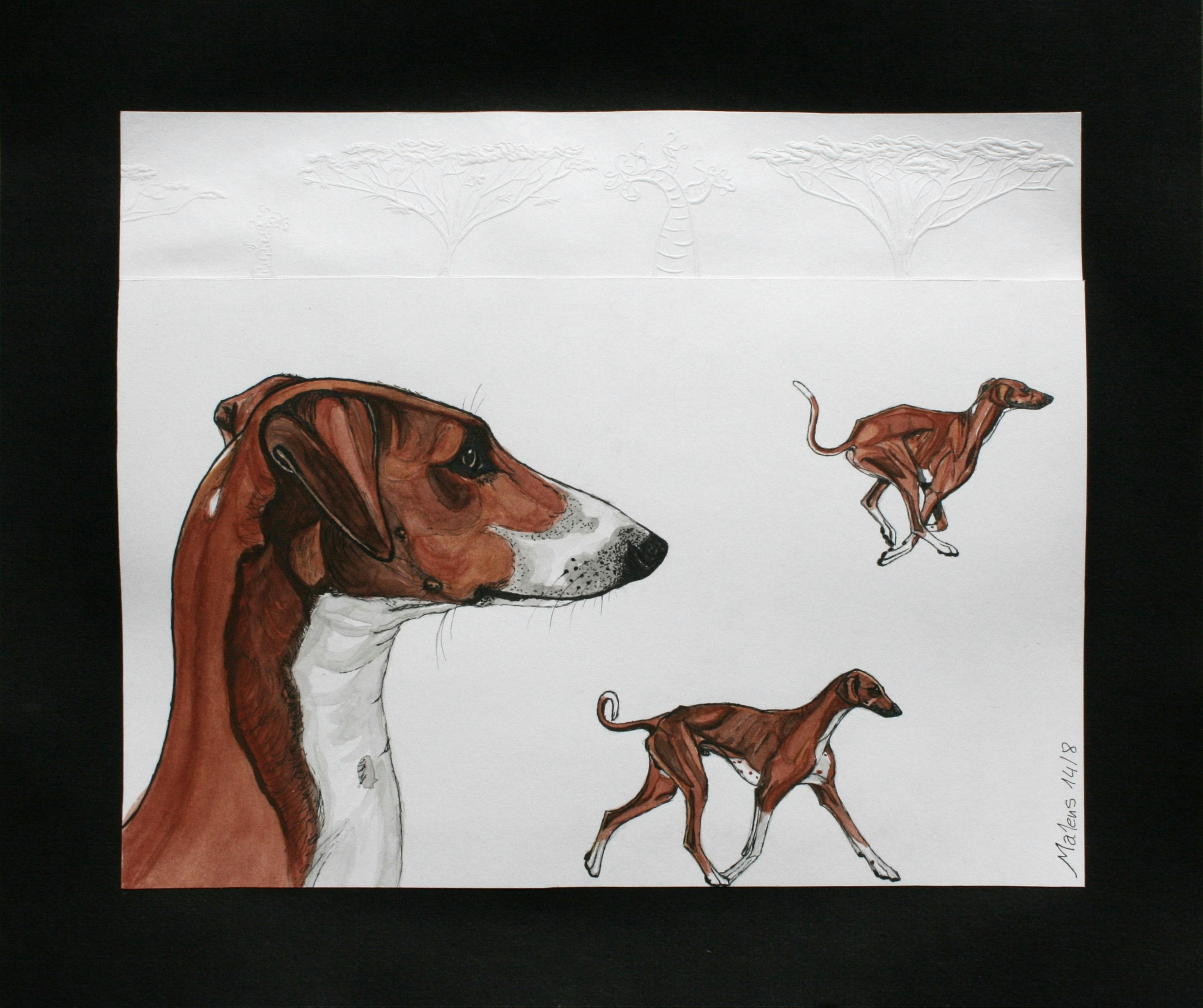 Drawing Little Dogs Azawakhs by Malens Ceramics Mixed Media Linocut and Drawing