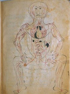 Drawing Living Things islam 22 Best Charting Information Mapping the Body Anatomic Drawings