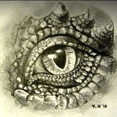 Drawing Lizard Eye 102 Best Dragon Eye Value Drawing Images In 2019 Dragon Eye