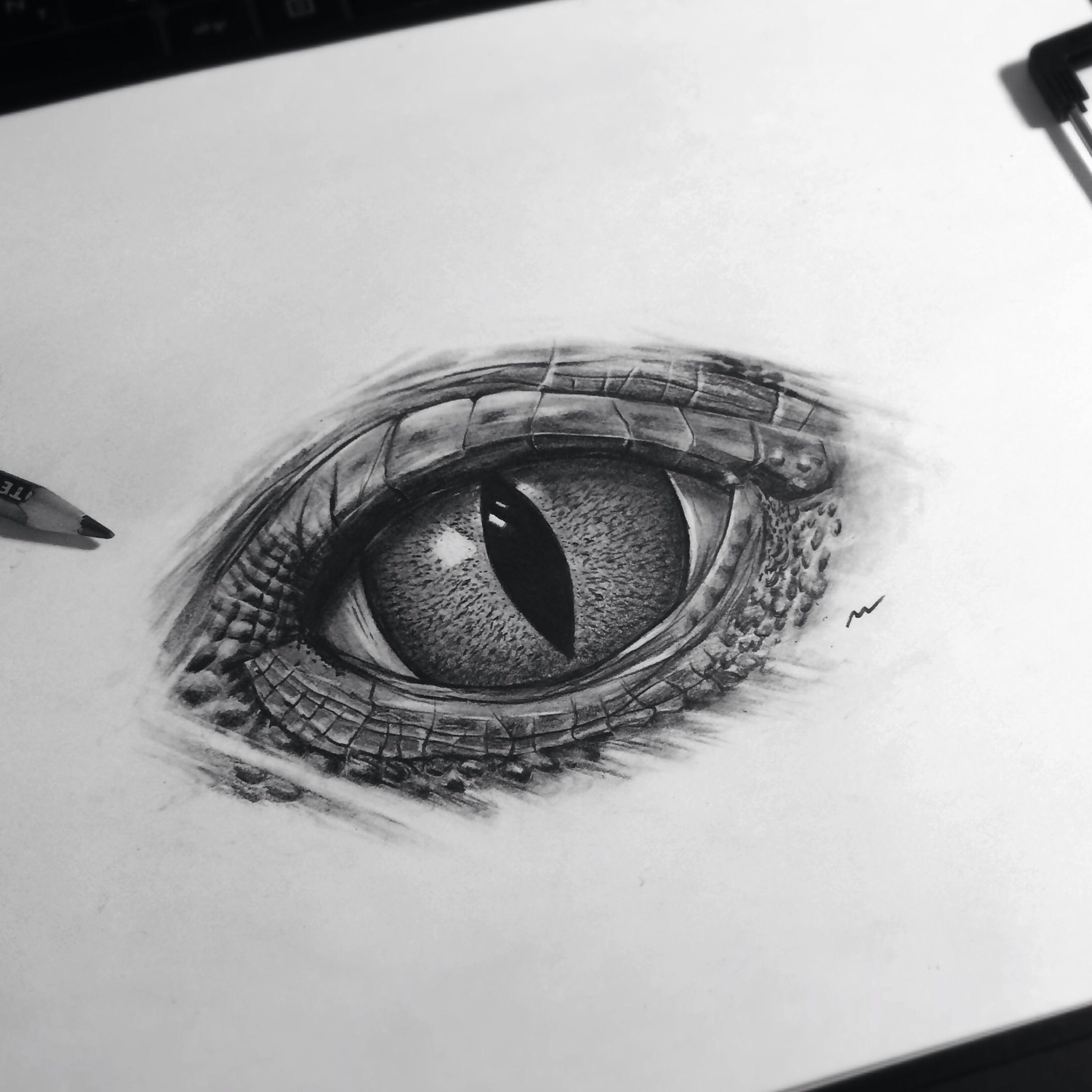 Drawing Lizard Eye New Realistic Eye Reptile Reptileeye Art Artwork Painting