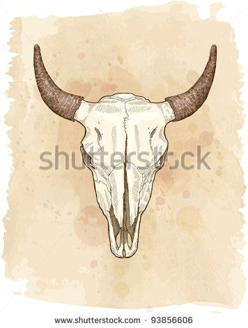 Drawing Longhorn Skull Cow Skull Vector Sketch Bear Cow Skull Skull Sketches