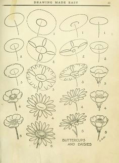 Drawing Made Easy Pdf 99 Best Flower Design Drawing Images Drawing Flowers Floral
