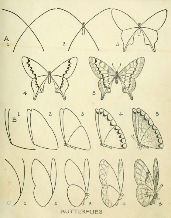 Drawing Made Easy Pdf From A Public Domain Book Drawing Made Easy A Helpful Book for