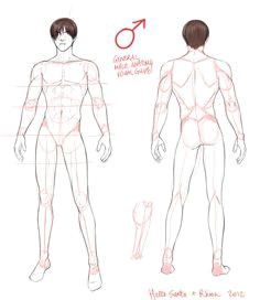 Drawing Male Anatomy Tumblr 34 Best Drawing Male Anatomy Images Character Design Drawings