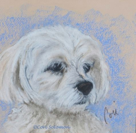 Drawing Maltese Dogs Maltese Dog Art by Cori solomon Painting by Artist Art Helping